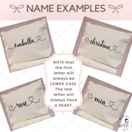 Load image into Gallery viewer, Travel Cosmetic Bag - My Name

